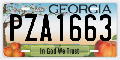 GA license plate PZA1663