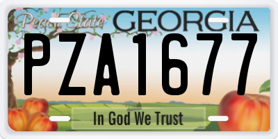 GA license plate PZA1677