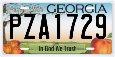 GA license plate PZA1729