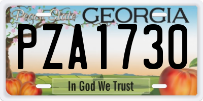 GA license plate PZA1730