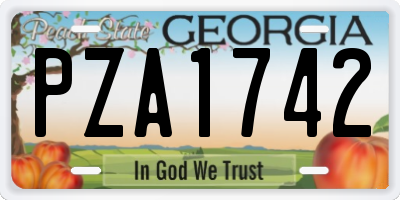 GA license plate PZA1742