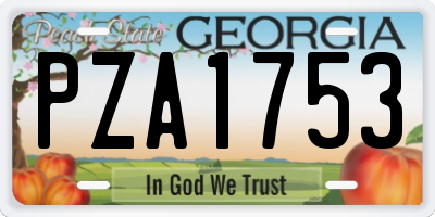 GA license plate PZA1753
