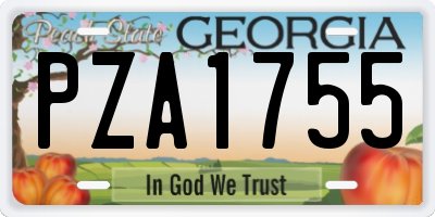 GA license plate PZA1755