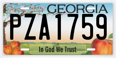 GA license plate PZA1759
