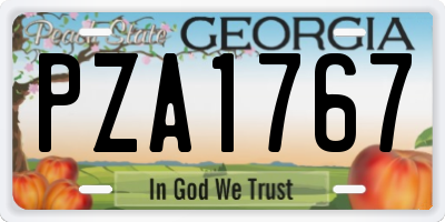 GA license plate PZA1767