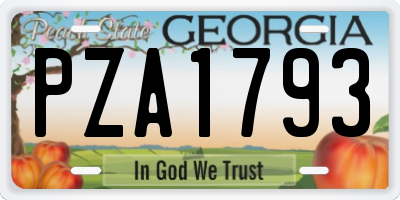 GA license plate PZA1793