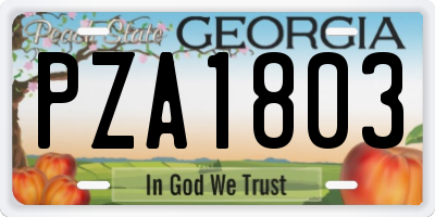 GA license plate PZA1803