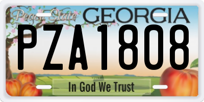 GA license plate PZA1808