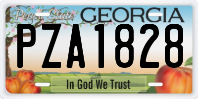 GA license plate PZA1828