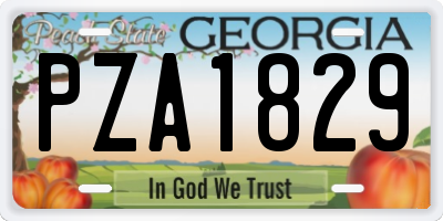 GA license plate PZA1829