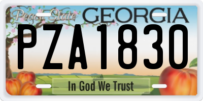 GA license plate PZA1830