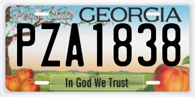 GA license plate PZA1838