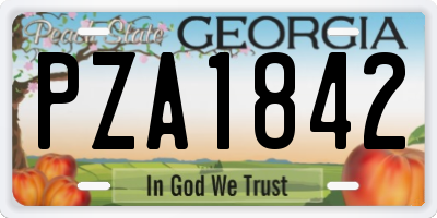 GA license plate PZA1842