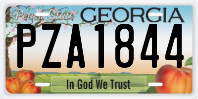 GA license plate PZA1844