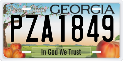GA license plate PZA1849