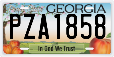 GA license plate PZA1858