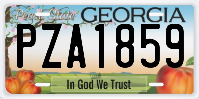GA license plate PZA1859