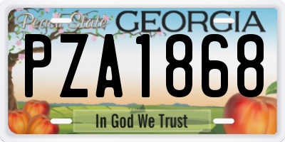 GA license plate PZA1868