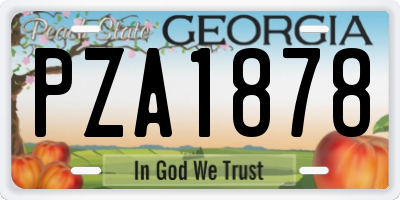 GA license plate PZA1878