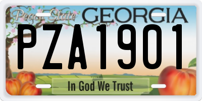 GA license plate PZA1901