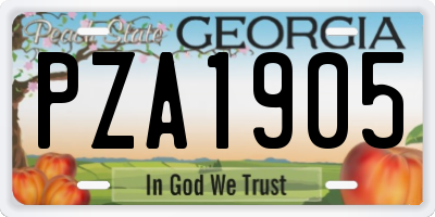 GA license plate PZA1905