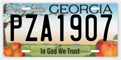 GA license plate PZA1907