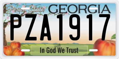 GA license plate PZA1917