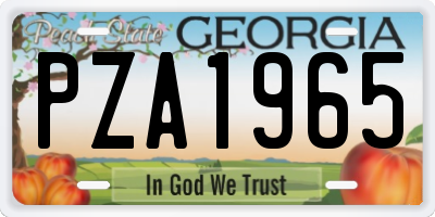 GA license plate PZA1965