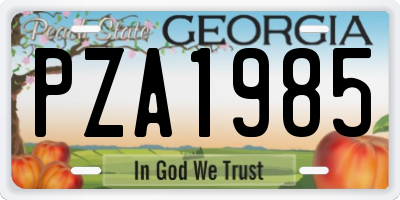GA license plate PZA1985