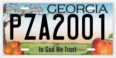 GA license plate PZA2001