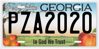 GA license plate PZA2020