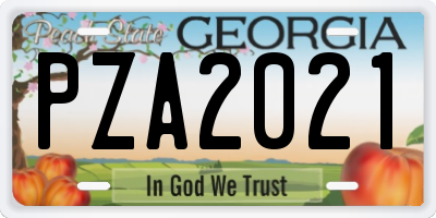 GA license plate PZA2021