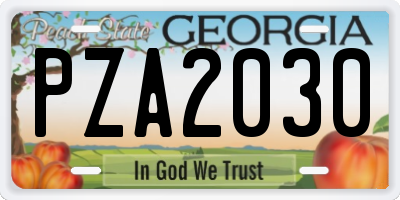 GA license plate PZA2030