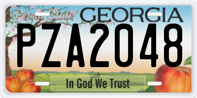 GA license plate PZA2048