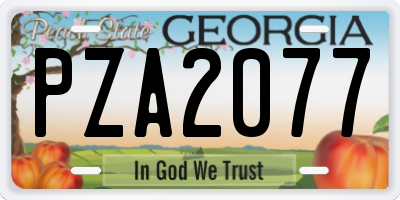 GA license plate PZA2077