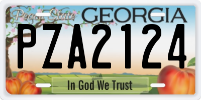 GA license plate PZA2124