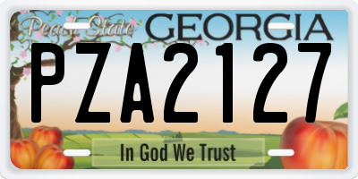 GA license plate PZA2127