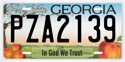 GA license plate PZA2139