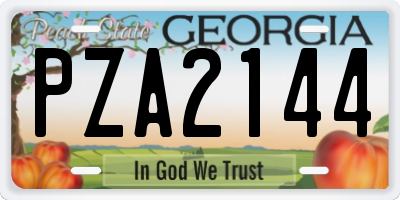 GA license plate PZA2144