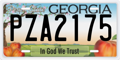 GA license plate PZA2175