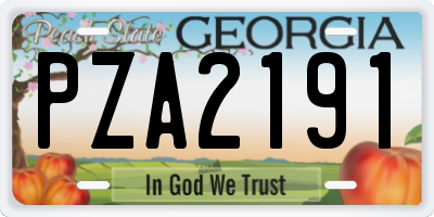 GA license plate PZA2191