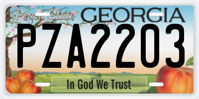 GA license plate PZA2203