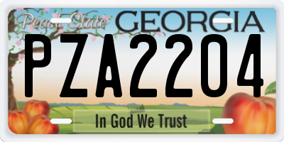 GA license plate PZA2204
