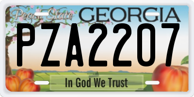 GA license plate PZA2207