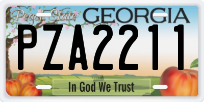 GA license plate PZA2211