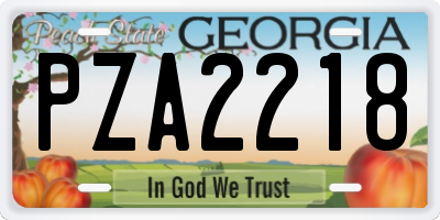 GA license plate PZA2218