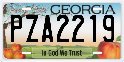 GA license plate PZA2219