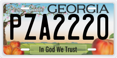 GA license plate PZA2220