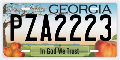 GA license plate PZA2223