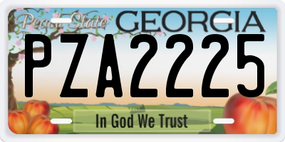 GA license plate PZA2225